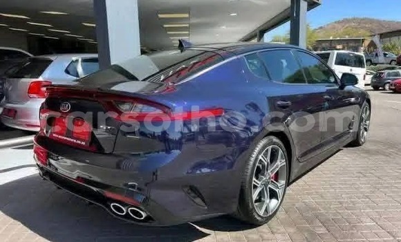 Buy Used Kia Stinger Other Car in Maseru in Maseru Buy Used Kia Stinger Other Car in Maseru in Maseru