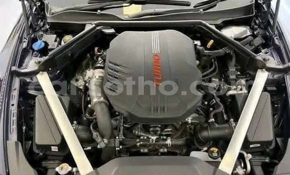 Buy Used Kia Stinger Other Car in Maseru in Maseru Buy Used Kia Stinger Other Car in Maseru in Maseru