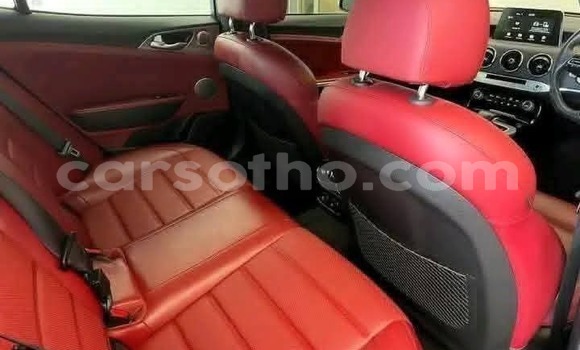 Buy Used Kia Stinger Other Car in Maseru in Maseru Buy Used Kia Stinger Other Car in Maseru in Maseru