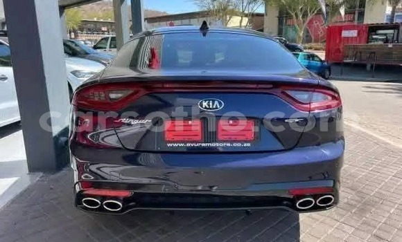 Buy Used Kia Stinger Other Car in Maseru in Maseru Buy Used Kia Stinger Other Car in Maseru in Maseru