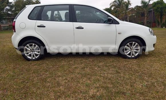Buy Used Volkswagen Polo White Car in Maseru in Maseru Buy Used Volkswagen Polo White Car in Maseru in Maseru