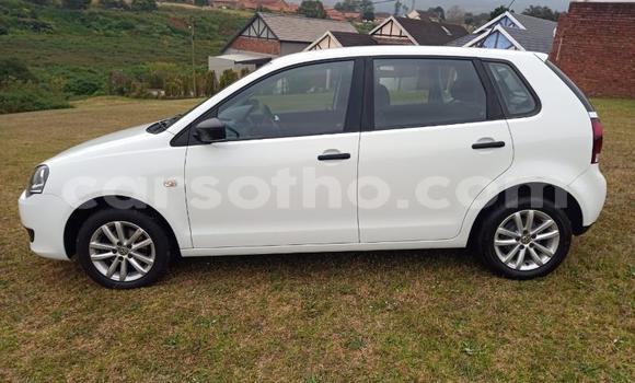 Buy Used Volkswagen Polo White Car in Maseru in Maseru Buy Used Volkswagen Polo White Car in Maseru in Maseru