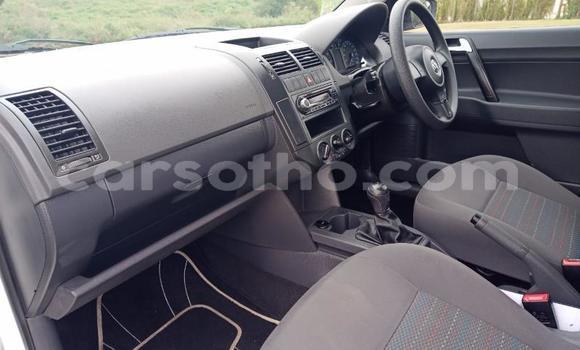 Buy Used Volkswagen Polo White Car in Maseru in Maseru Buy Used Volkswagen Polo White Car in Maseru in Maseru