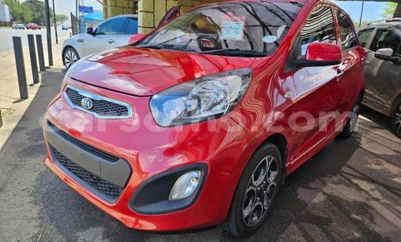 Buy Used Kia Picanto Red Car in Maseru in Maseru Buy Used Kia Picanto Red Car in Maseru in Maseru