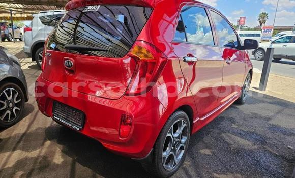 Buy Used Kia Picanto Red Car in Maseru in Maseru Buy Used Kia Picanto Red Car in Maseru in Maseru
