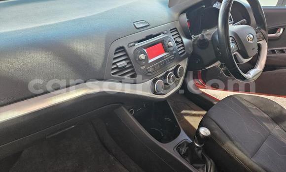 Buy Used Kia Picanto Red Car in Maseru in Maseru Buy Used Kia Picanto Red Car in Maseru in Maseru