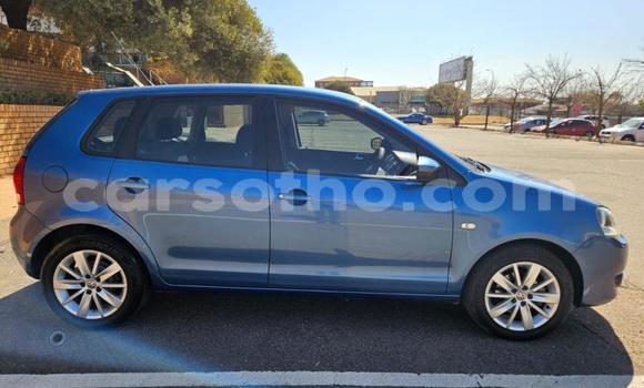 Buy Used Volkswagen Polo Blue Car in Maseru in Maseru Buy Used Volkswagen Polo Blue Car in Maseru in Maseru