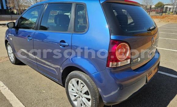 Buy Used Volkswagen Polo Blue Car in Maseru in Maseru Buy Used Volkswagen Polo Blue Car in Maseru in Maseru