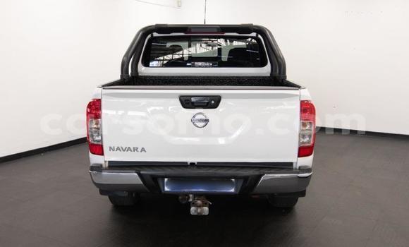 Buy Used Nissan Navara White Car in Maseru in Maseru Buy Used Nissan Navara White Car in Maseru in Maseru