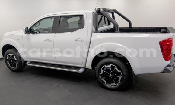 Buy Used Nissan Navara White Car in Maseru in Maseru Buy Used Nissan Navara White Car in Maseru in Maseru