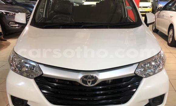 Buy Used Toyota Avanza White Car in Maseru in Maseru Buy Used Toyota Avanza White Car in Maseru in Maseru
