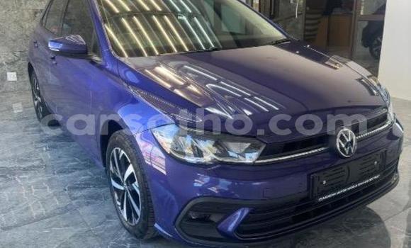 Buy Used Volkswagen Polo Blue Car in Maseru in Maseru Buy Used Volkswagen Polo Blue Car in Maseru in Maseru