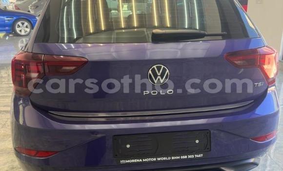 Buy Used Volkswagen Polo Blue Car in Maseru in Maseru Buy Used Volkswagen Polo Blue Car in Maseru in Maseru