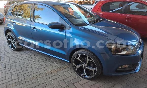 Buy Used Volkswagen Polo Blue Car in Maseru in Maseru