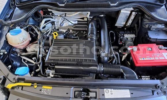 Buy Used Volkswagen Polo Blue Car in Maseru in Maseru Buy Used Volkswagen Polo Blue Car in Maseru in Maseru