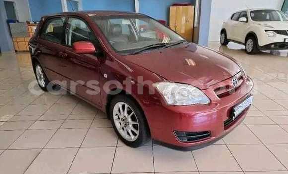 Buy Used Toyota Runx Red Car in Maseru in Maseru