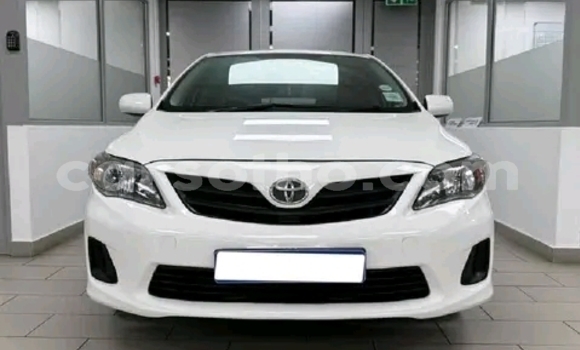 Buy Used Toyota Corolla White Car in Maseru in Maseru Buy Used Toyota Corolla White Car in Maseru in Maseru