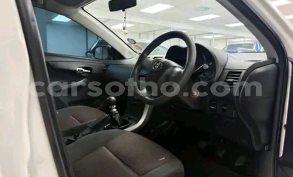Buy Used Toyota Corolla White Car in Maseru in Maseru Buy Used Toyota Corolla White Car in Maseru in Maseru