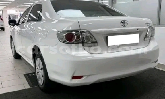 Buy Used Toyota Corolla White Car in Maseru in Maseru Buy Used Toyota Corolla White Car in Maseru in Maseru