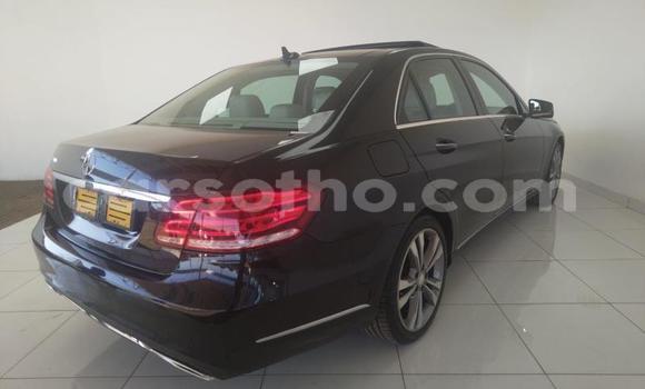 Buy Used Mercedes-Benz E–Class Brown Car in Maseru in Maseru Buy Used Mercedes-Benz E–Class Brown Car in Maseru in Maseru