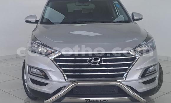 Buy Used Hyundai Tucson Silver Car in Maseru in Maseru Buy Used Hyundai Tucson Silver Car in Maseru in Maseru