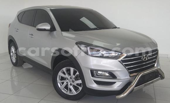Buy Used Hyundai Tucson Silver Car in Maseru in Maseru Buy Used Hyundai Tucson Silver Car in Maseru in Maseru