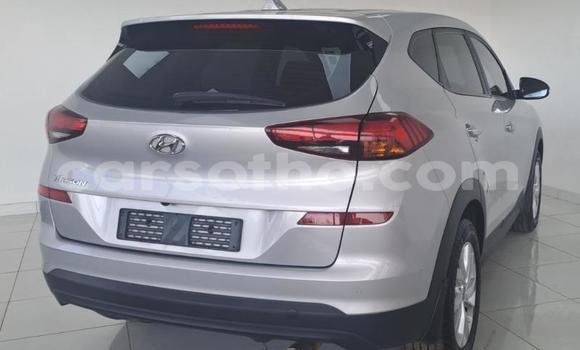 Buy Used Hyundai Tucson Silver Car in Maseru in Maseru Buy Used Hyundai Tucson Silver Car in Maseru in Maseru