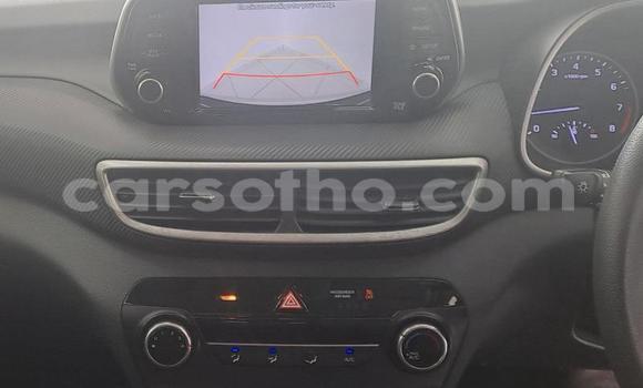 Buy Used Hyundai Tucson Silver Car in Maseru in Maseru Buy Used Hyundai Tucson Silver Car in Maseru in Maseru
