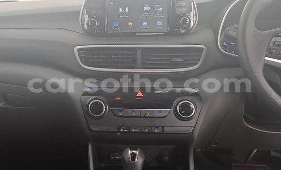 Buy Used Hyundai Tucson Silver Car in Maseru in Maseru Buy Used Hyundai Tucson Silver Car in Maseru in Maseru