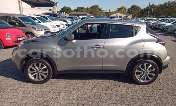 Buy Used Nissan Juke Silver Car in Maseru in Maseru Buy Used Nissan Juke Silver Car in Maseru in Maseru