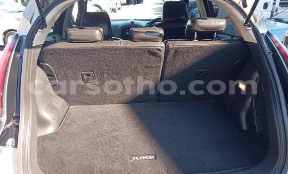 Buy Used Nissan Juke Silver Car in Maseru in Maseru Buy Used Nissan Juke Silver Car in Maseru in Maseru