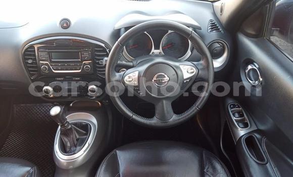 Buy Used Nissan Juke Silver Car in Maseru in Maseru Buy Used Nissan Juke Silver Car in Maseru in Maseru