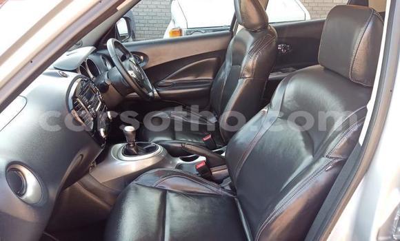 Buy Used Nissan Juke Silver Car in Maseru in Maseru Buy Used Nissan Juke Silver Car in Maseru in Maseru