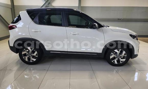 Buy Used Kia Sorento White Car in Maseru in Maseru Buy Used Kia Sorento White Car in Maseru in Maseru