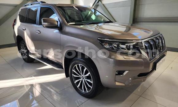 Buy Used Toyota Land Cruiser Prado Other Car in Maseru in Maseru