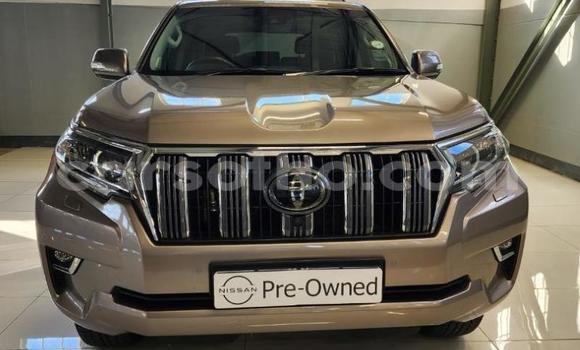 Buy Used Toyota Land Cruiser Prado Other Car in Maseru in Maseru Buy Used Toyota Land Cruiser Prado Other Car in Maseru in Maseru
