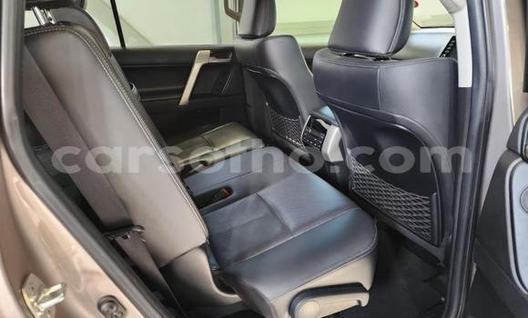 Buy Used Toyota Land Cruiser Prado Other Car in Maseru in Maseru Buy Used Toyota Land Cruiser Prado Other Car in Maseru in Maseru