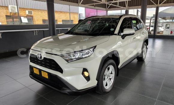 Buy Used Toyota RAV4 White Car in Maseru in Maseru