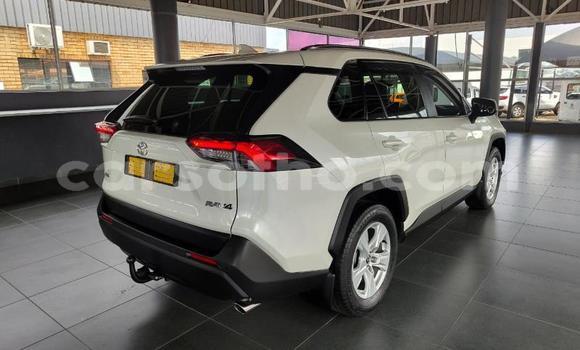 Buy Used Toyota RAV4 White Car in Maseru in Maseru Buy Used Toyota RAV4 White Car in Maseru in Maseru