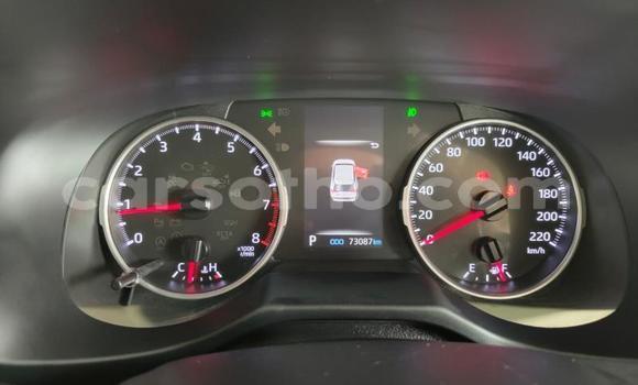 Buy Used Toyota RAV4 White Car in Maseru in Maseru Buy Used Toyota RAV4 White Car in Maseru in Maseru