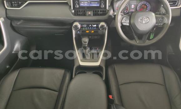 Buy Used Toyota RAV4 White Car in Maseru in Maseru Buy Used Toyota RAV4 White Car in Maseru in Maseru