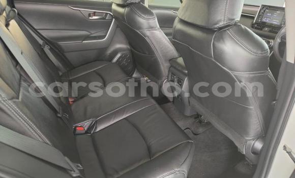 Buy Used Toyota RAV4 White Car in Maseru in Maseru Buy Used Toyota RAV4 White Car in Maseru in Maseru