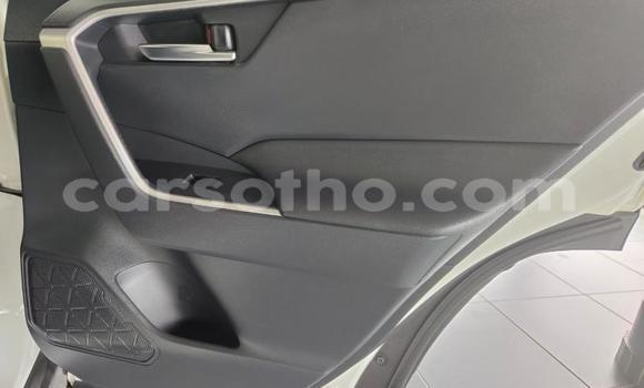 Buy Used Toyota RAV4 White Car in Maseru in Maseru Buy Used Toyota RAV4 White Car in Maseru in Maseru