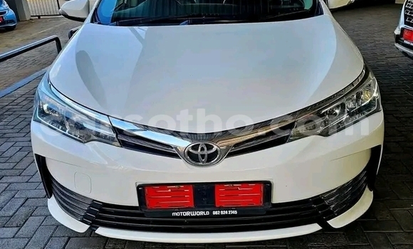 Buy Used Toyota Corolla White Car in Maseru in Maseru