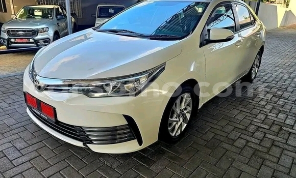 Buy Used Toyota Corolla White Car in Maseru in Maseru Buy Used Toyota Corolla White Car in Maseru in Maseru