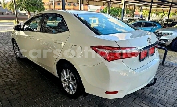 Buy Used Toyota Corolla White Car in Maseru in Maseru Buy Used Toyota Corolla White Car in Maseru in Maseru