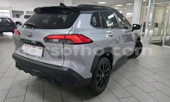 Buy Used Toyota Hilux Silver Car in Maseru in Maseru Buy Used Toyota Hilux Silver Car in Maseru in Maseru