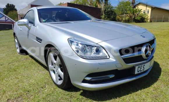 Acheter Occasion Voiture Mercedes-Benz SLK–Class Gris à Maseru, Maseru Acheter Occasion Voiture Mercedes-Benz SLK–Class Gris à Maseru, Maseru