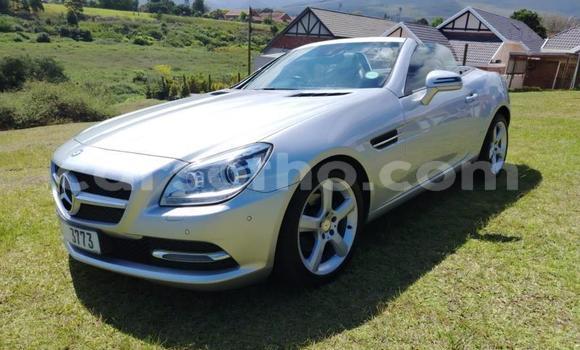 Acheter Occasion Voiture Mercedes-Benz SLK–Class Gris à Maseru, Maseru Acheter Occasion Voiture Mercedes-Benz SLK–Class Gris à Maseru, Maseru