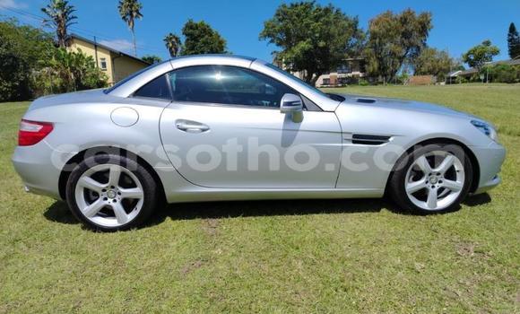 Acheter Occasion Voiture Mercedes-Benz SLK–Class Gris à Maseru, Maseru Acheter Occasion Voiture Mercedes-Benz SLK–Class Gris à Maseru, Maseru